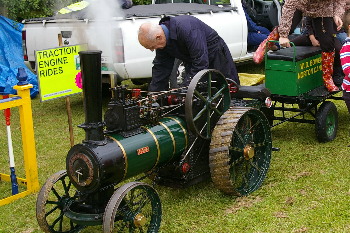 scale model steam traction engine rides