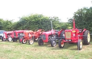 a row of assorted tractors. The 2 on the end on the right are a Massey Fergusson and a 1964 David Brown 880